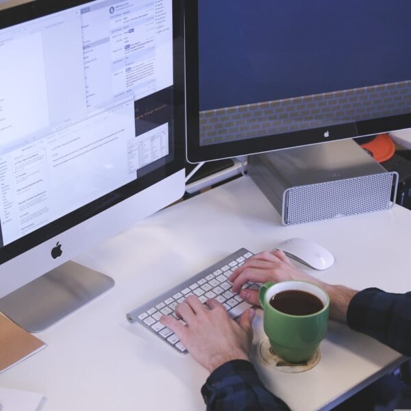 What Can I Do With a Business Degree? Full 2026 Guide